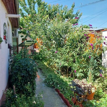 Casa Calin Villa Tulça Dış mekan fotoğraf