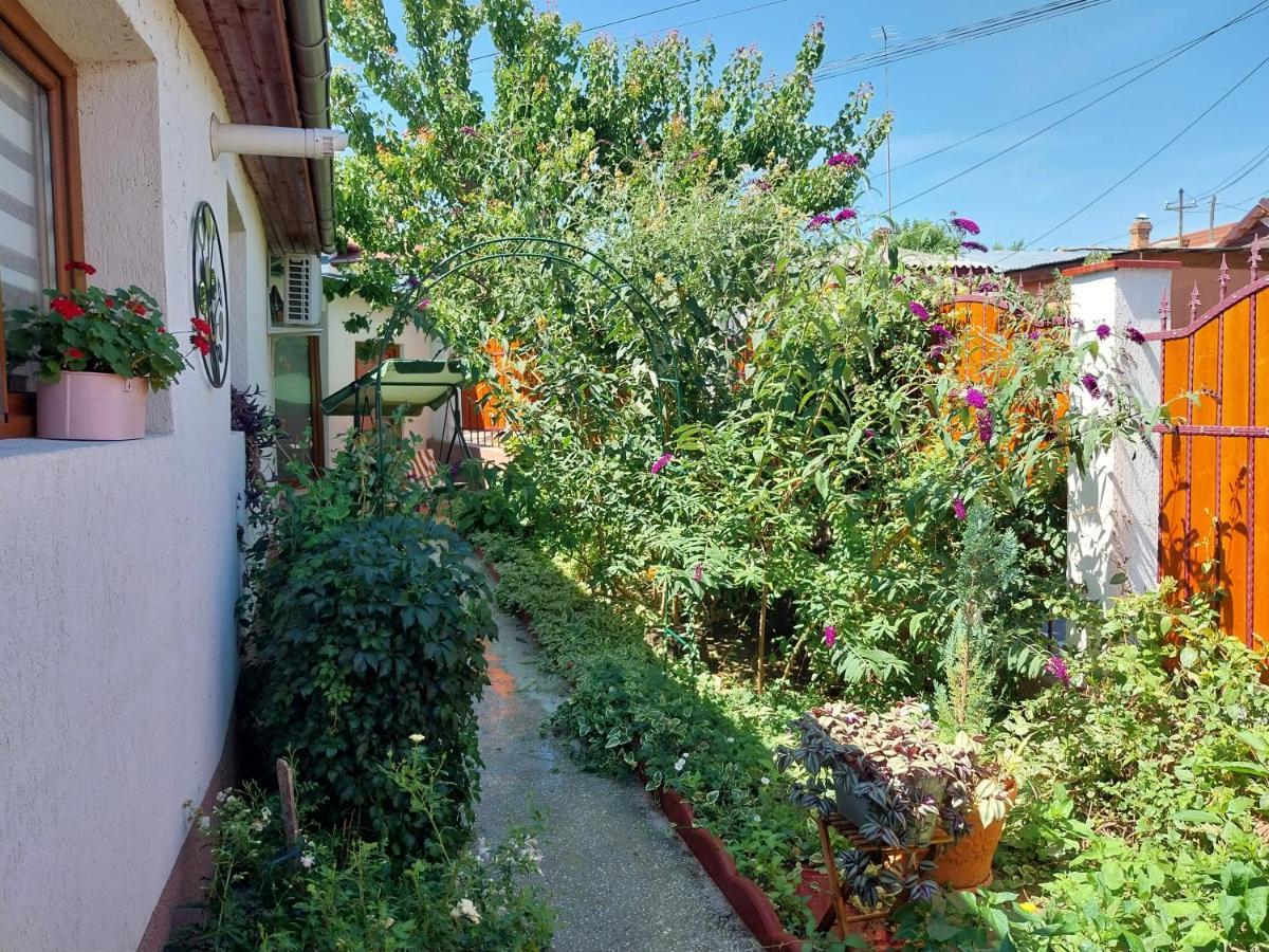 Casa Calin Villa Tulça Dış mekan fotoğraf
